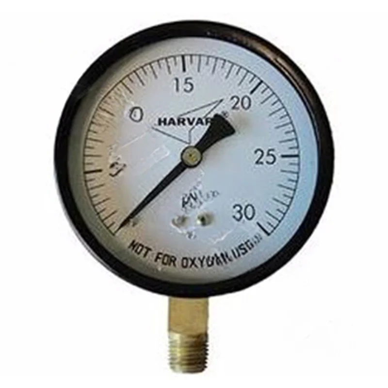 American-Granby-IPPG302-4B-Pressure-Gauge-2-In.-Plastic-0-30-PSI-with-1-4-In.-Back-Mount