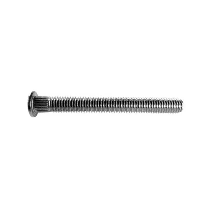 Fluidra-AST05488R0002-Step-Assembly-Bolt-1