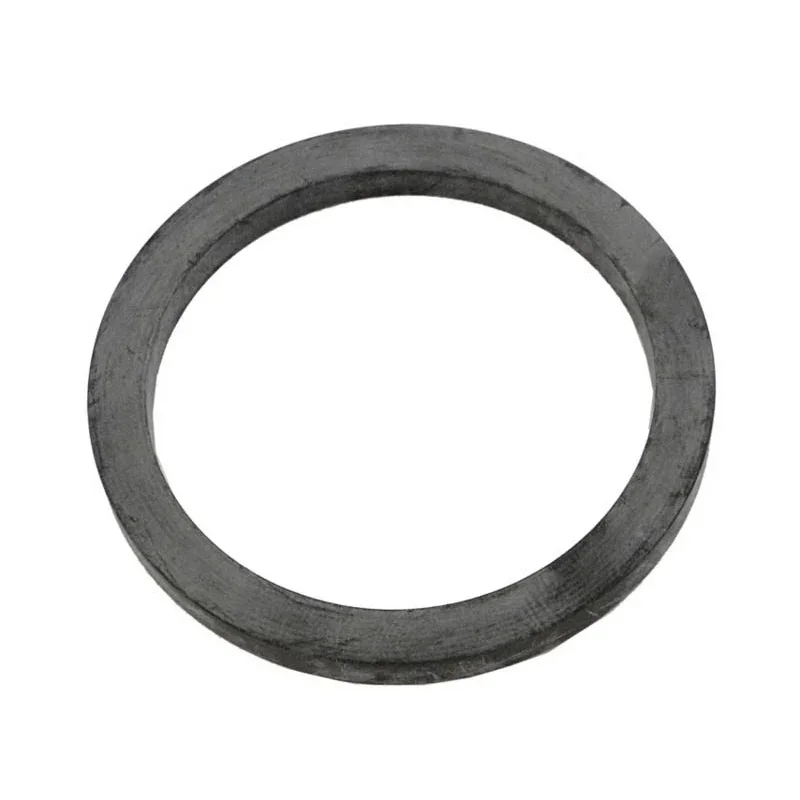 Fluidra-AST15780R0603-Flat-Gasket-3