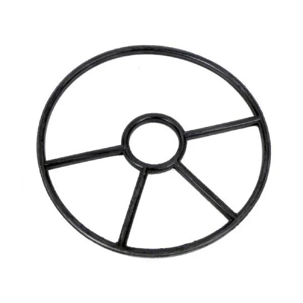 Fluidra-AST19028R0204-Spider-Gasket-1