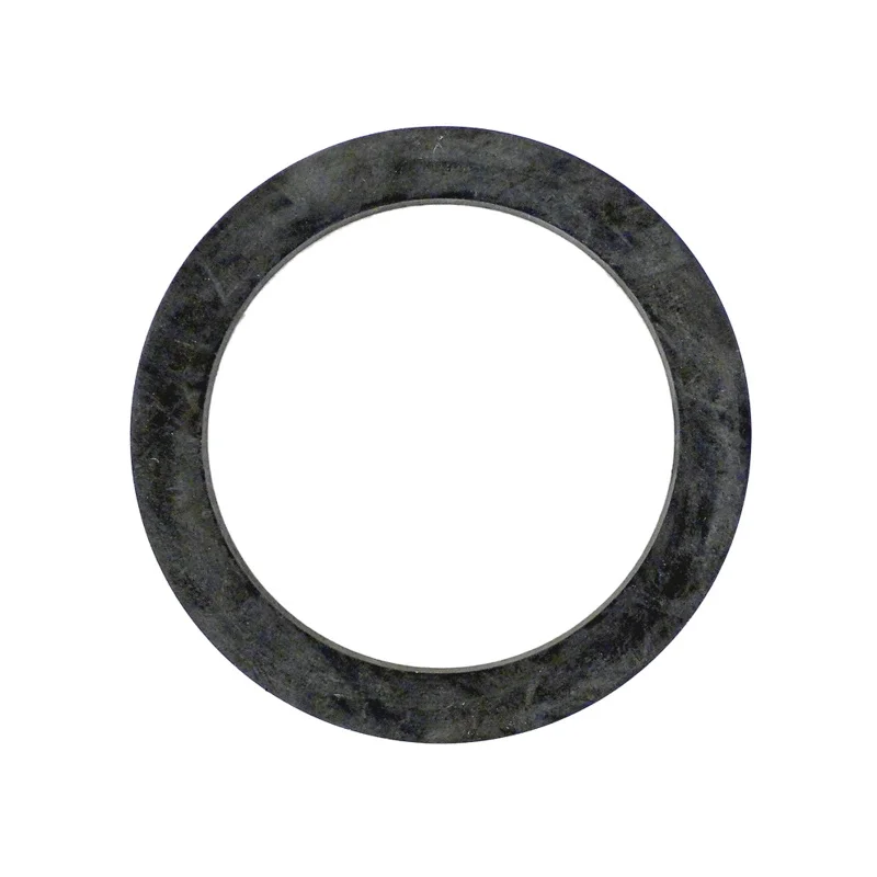 Fluidra-AST4405010179-Union-Flat-Gasket-1