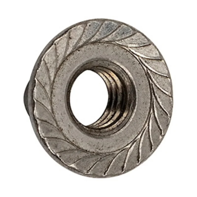 Fluidra-AST70143R06000-Base-Nut-1