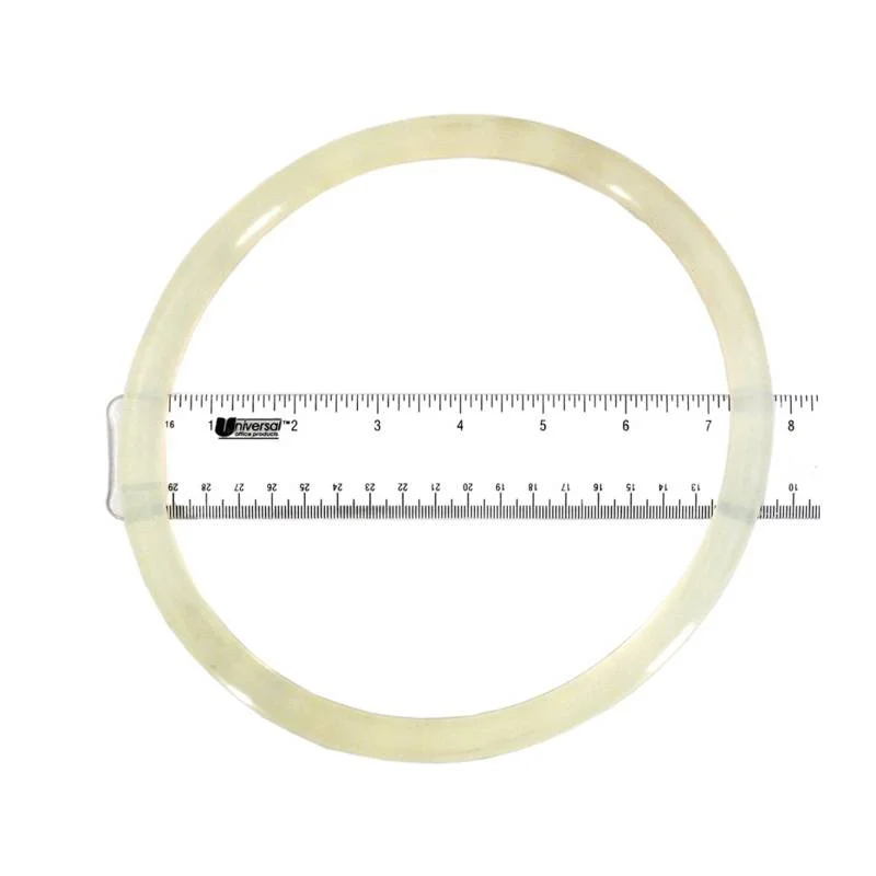 Fluidra-AST740R1700120-O-Ring-Lid-1