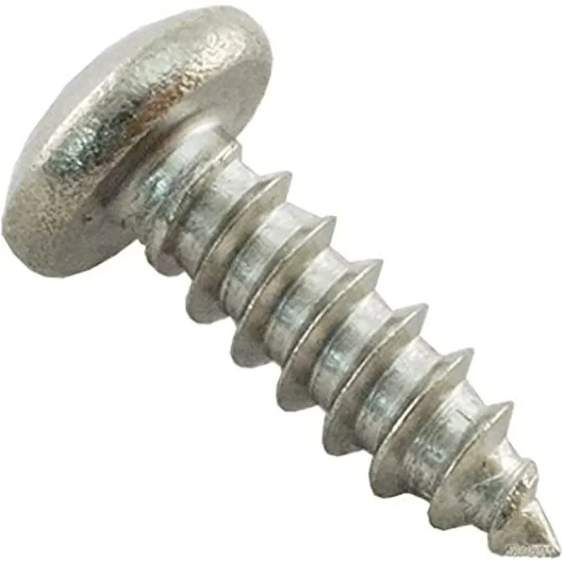 Hayward-AXV068-Spindle-Gear-Screw-1