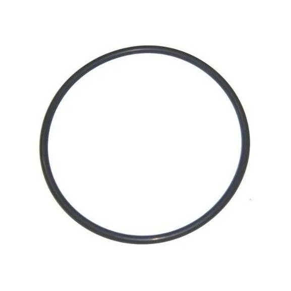 Hayward-CX400G-NorthStar-Strainer-Cover-O-Ring-Before-2003