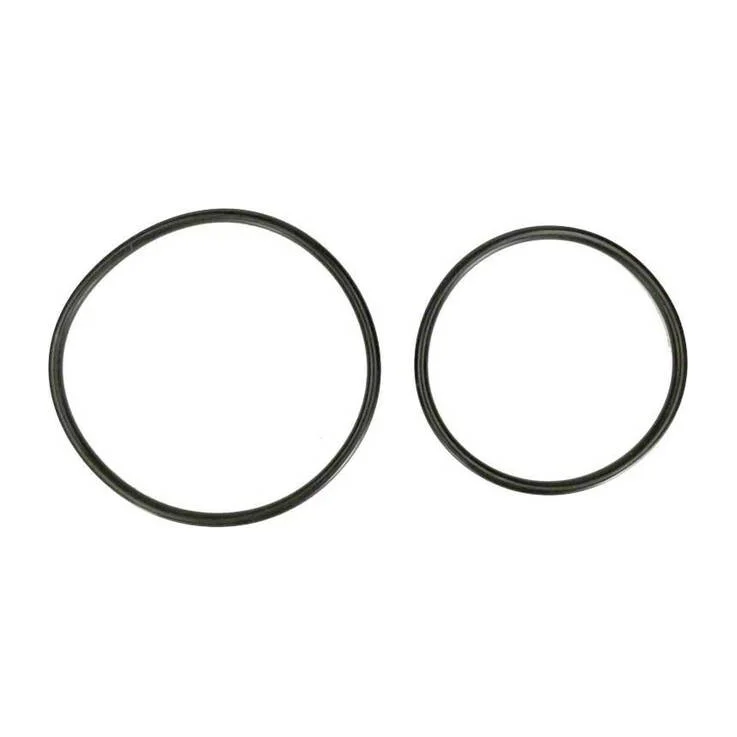 Hayward-DEX2420Z8A-Progrid-O-Ring-Kit1