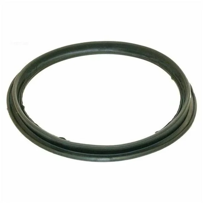 Hayward-ECX1287-Perflex-DE-O-Ring-For-Gauge-Adapter1