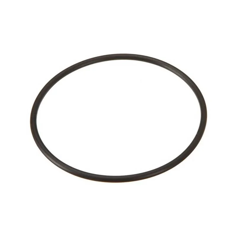 Hayward-GLX-DIY-ORING-DIY