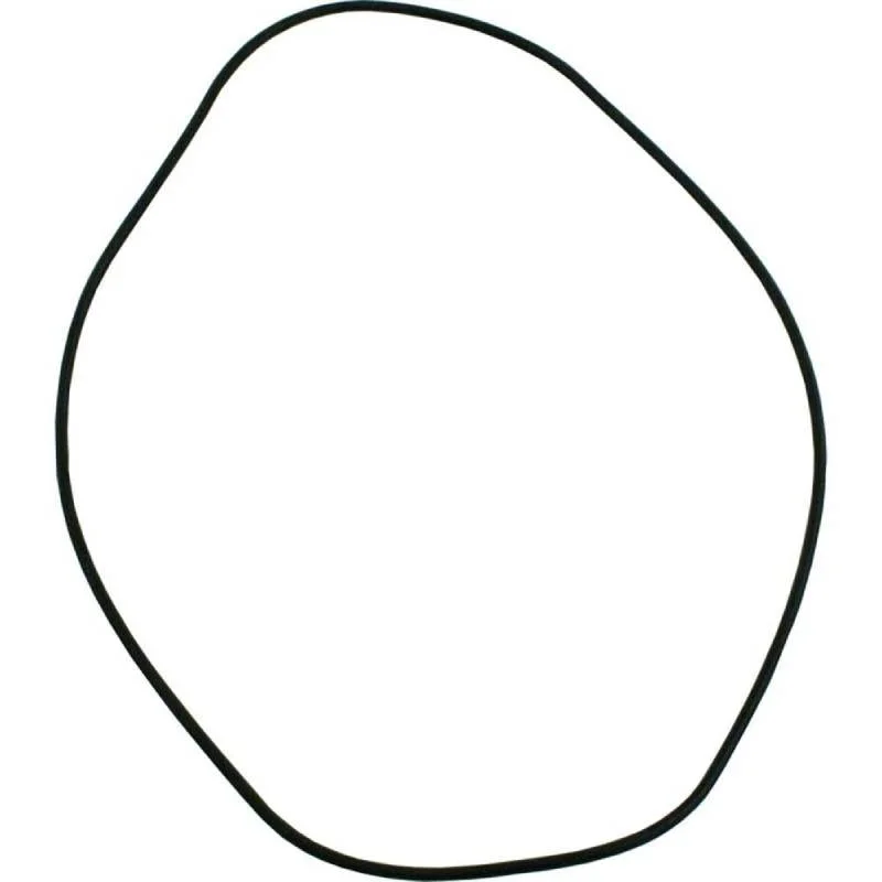 Hayward-HAXHOR1930-ED1-ED2-Header-O-Ring