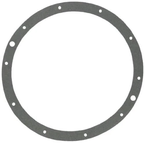 Hayward-Niche-Gasket-for-Underwater-Lights