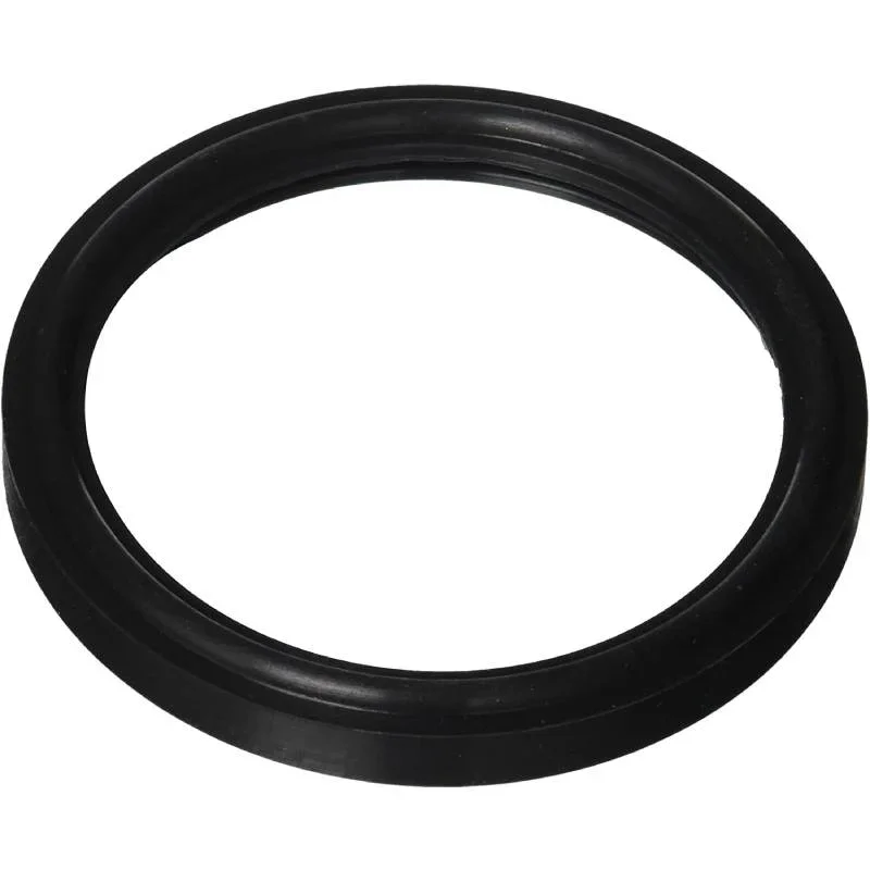 Hayward-SPX0550Z2-StarLite-HI-Temp-Lens-Gasket1