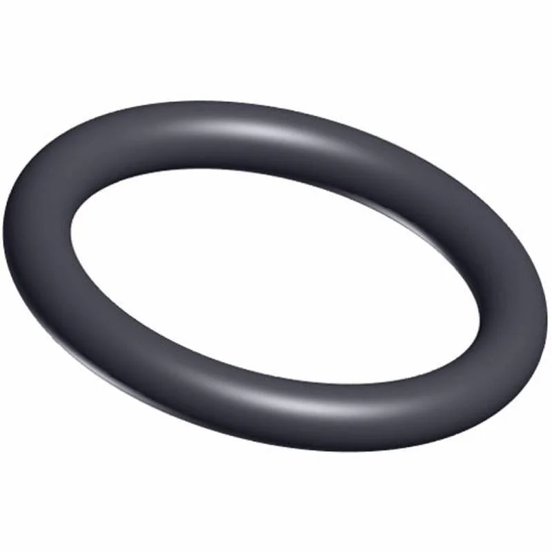 Hayward-SPX0735GA-SP0714T-MPV-Shaft-O-Ring2