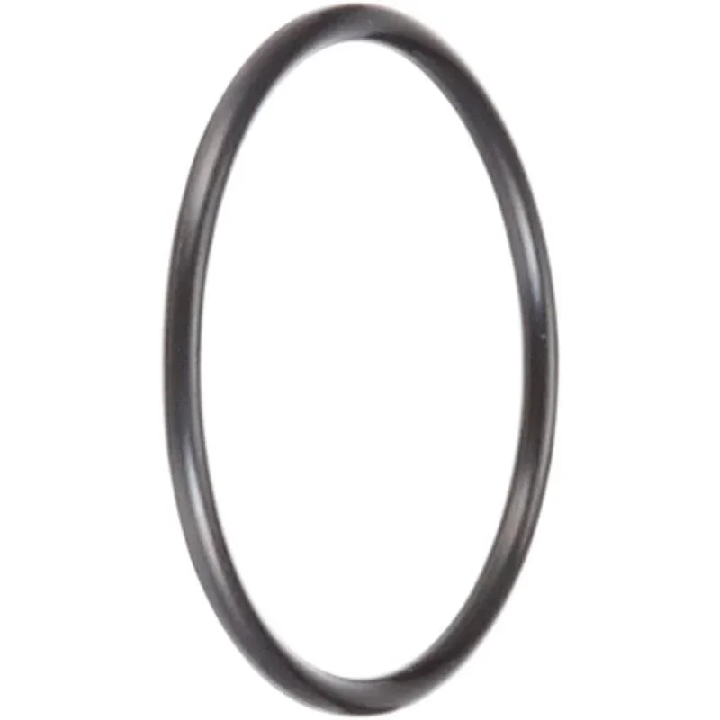 Hayward-SPX1425Z6-SP1425-O-Ring1