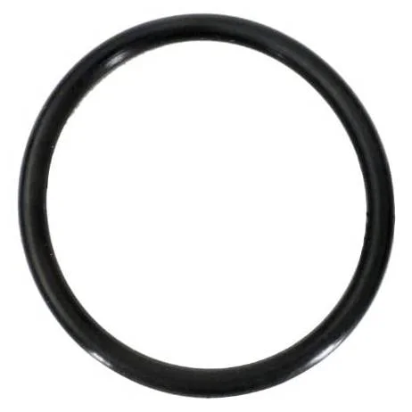 Hayward-SPX1483C-10CTN-Hayward-Pool-Products-O-Ring1