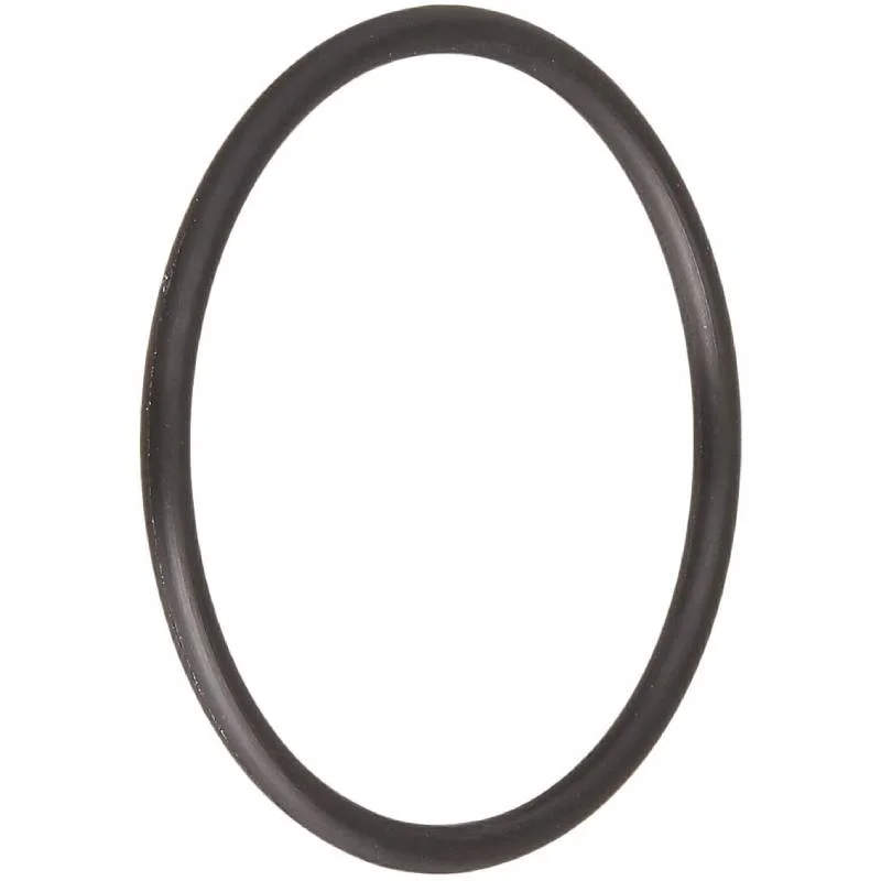 Hayward-SPX1491B-10CTN-Hayward-Pool-Products-O-Ring1