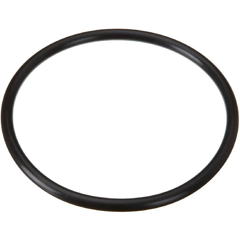 Hayward-SPX2300Z4-MaxFlo-XL-Strainer-Cover-Oring1