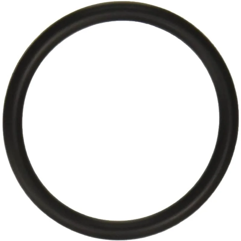 Hayward-SPX5500K-PowerFlo-Matrix-Strainer-Oring1