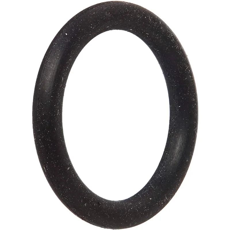 Hayward-SX200Z5-AIR-Relief-Valve-O-Ring1
