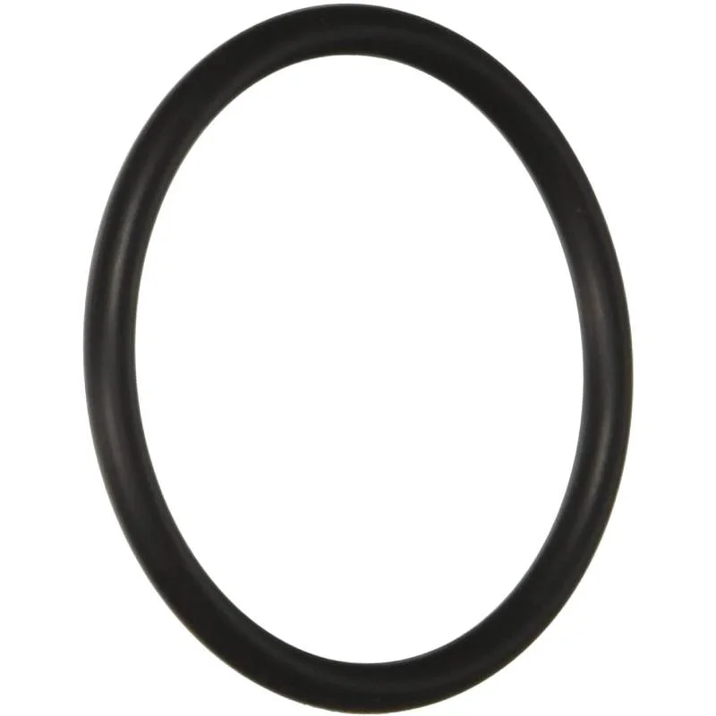 Hayward-SX220Z2-SwimClear-PROGRID-Bulkhead-O-Ring1