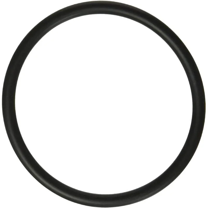 Hayward-SX360Z1-Microclear-PRO-Series-Bulkhead-O-Ring1