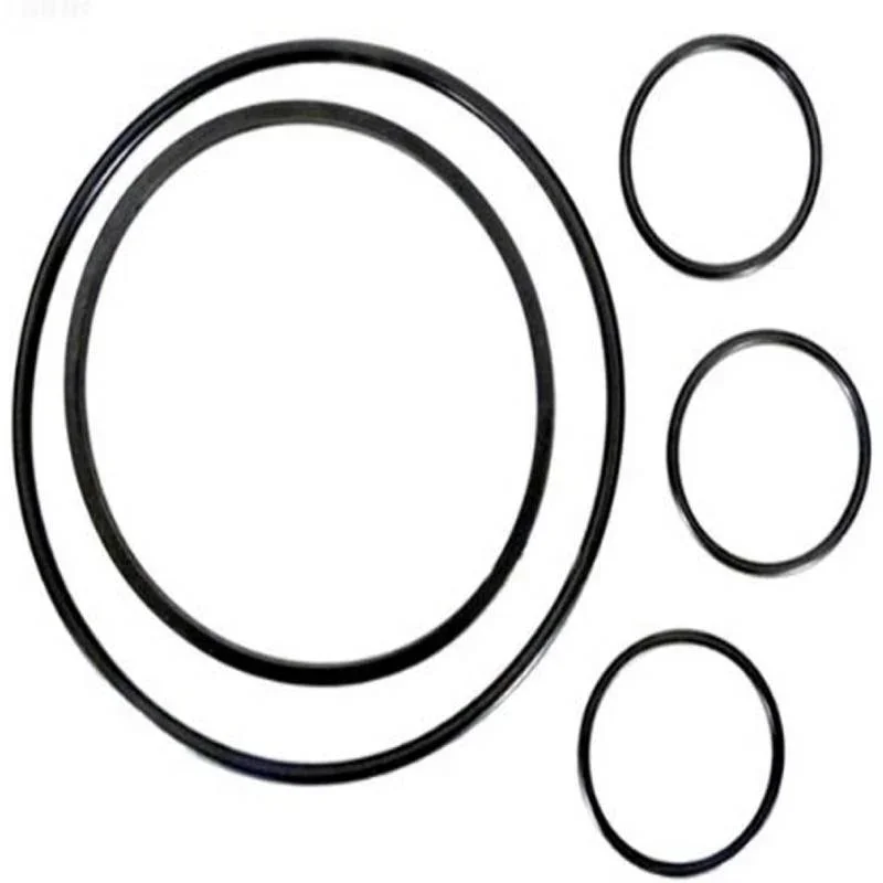 Hayward-VLX4004A-VL40-Series-System-O-Ring-Kit