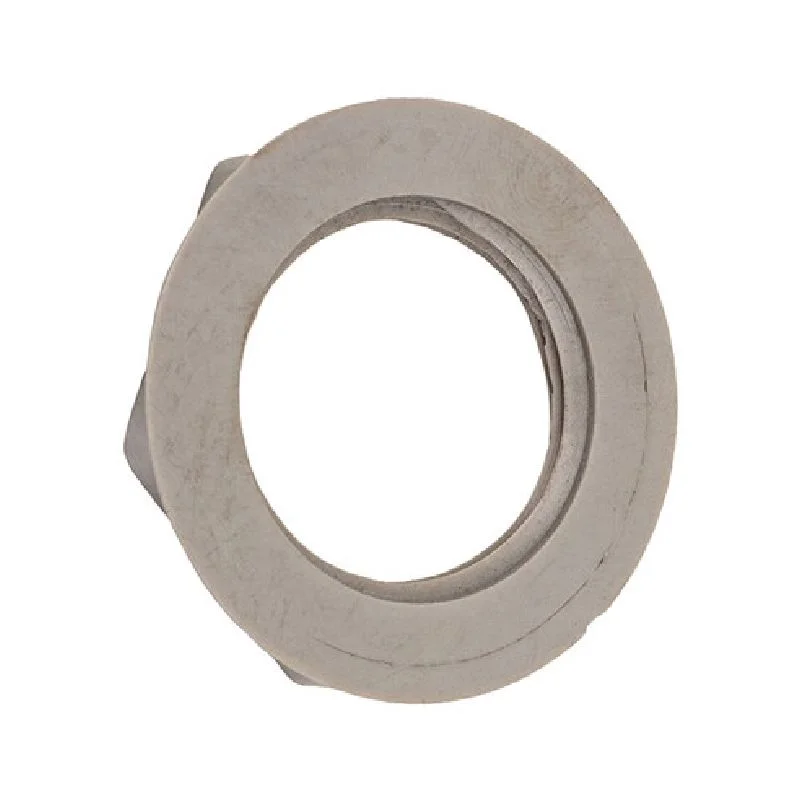 Neptune-Benson-1000-2421-1IN-Es20_Es40-National-Pipe-Thread-Nut-Lock-1