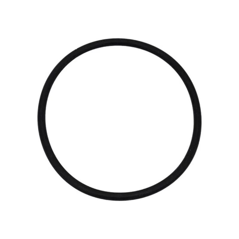 Neptune-Benson-1000-2439-4IN-Nut-Body-O-Ring-2