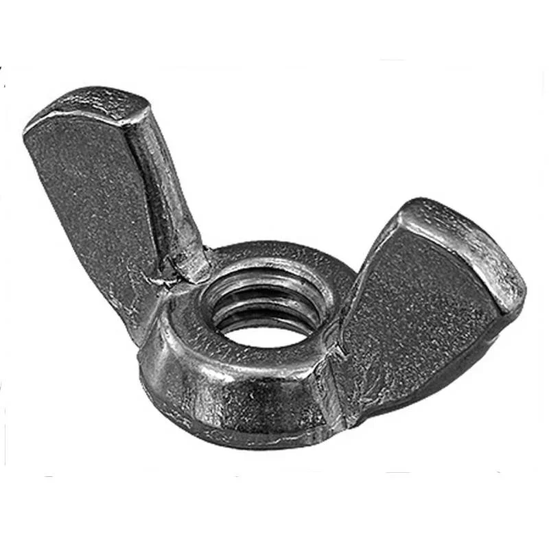 Pentair-071404Z-.25-20-SS-Wing-Nut