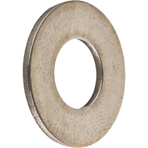 Pentair-072173-SS-FLAT-WASHER1