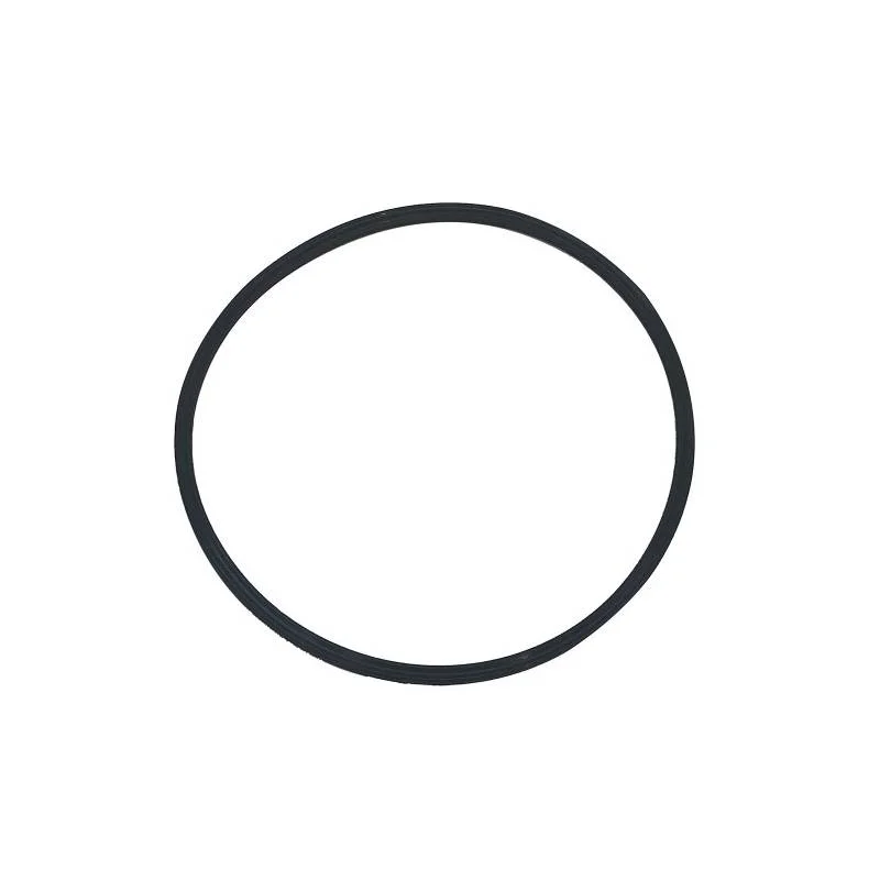 Pentair-152516-Buttress-Thread-Triton-II-Closure-O-Ring