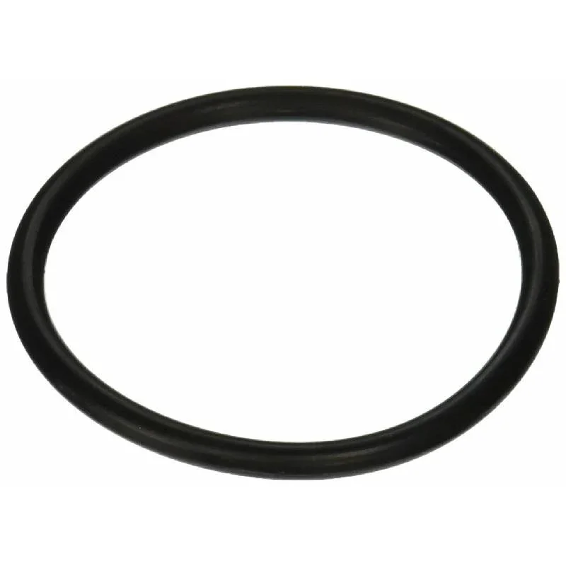 Pentair-154492-2-Bulkhead-O-Ring