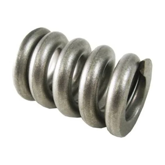 Pentair-154582-Triton-C-And-C-3-Closure-Spring-1