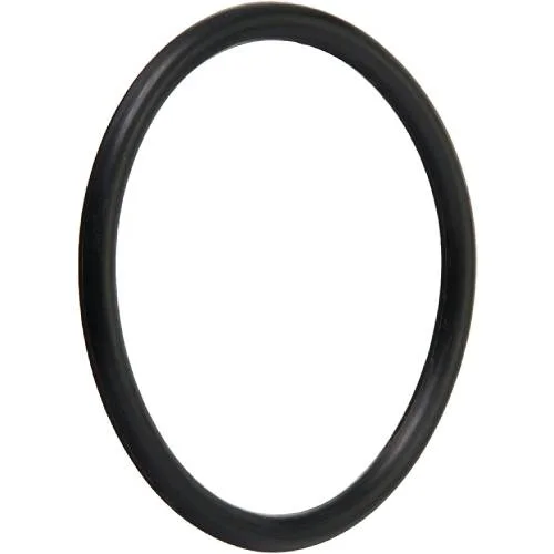 Pentair-191474-DRAIN-PLUG-O-Ring1