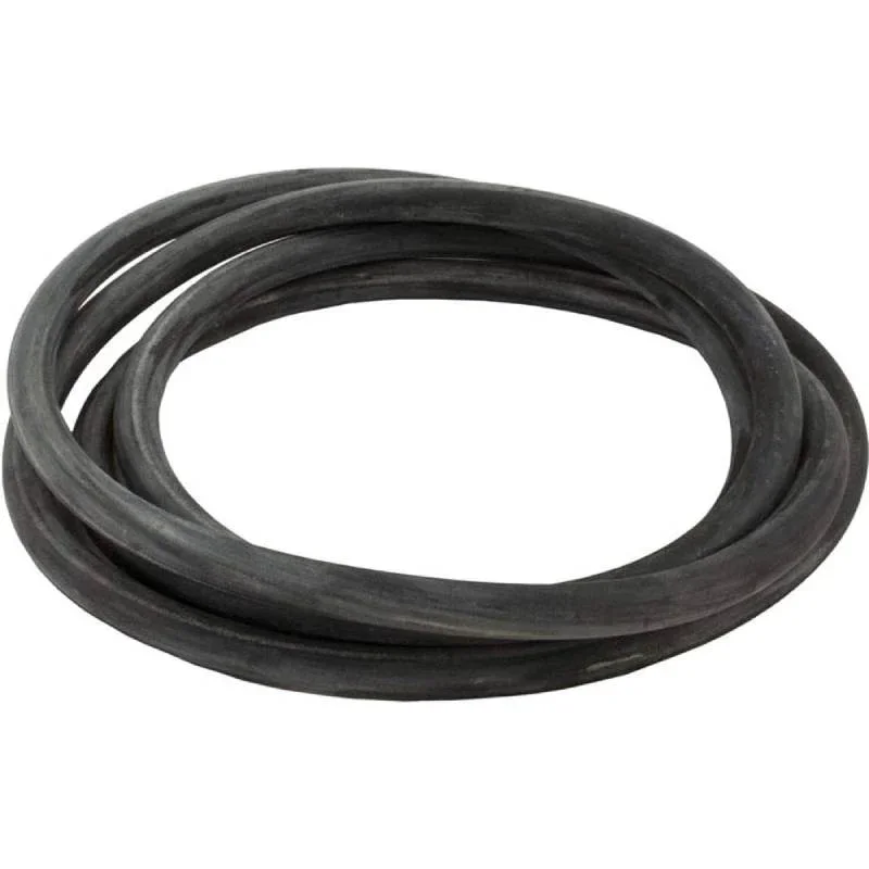Pentair-24751-0005-HRPBDEP-Series-O-Ring-1