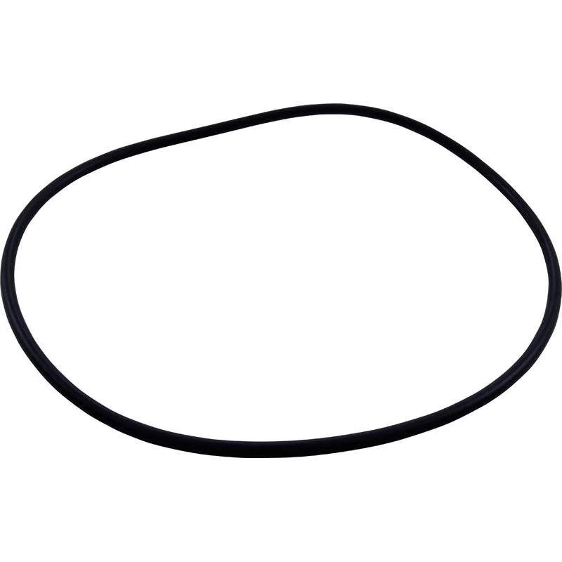 Pentair-25230-0010S-Posi-Clear-Tank-O-Ring1