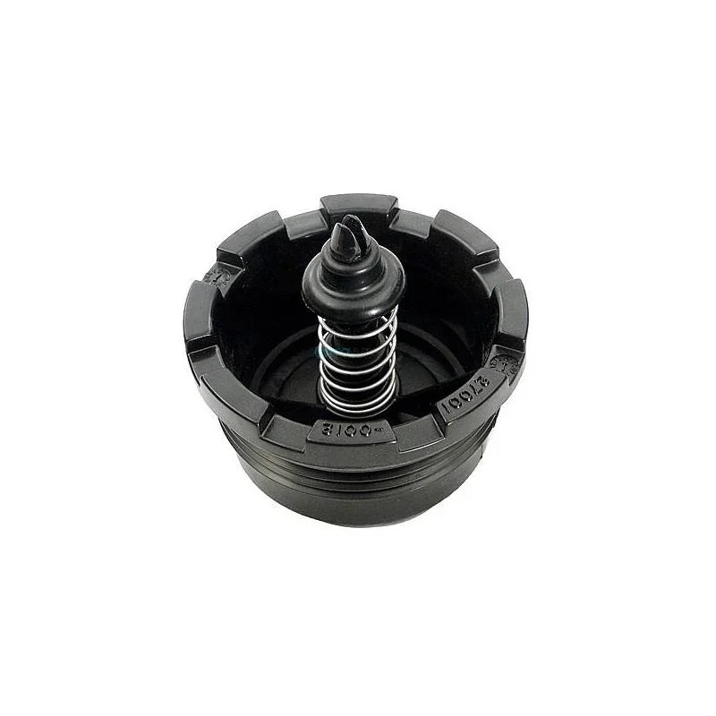 Pentair-27001-0130S-PLM_PLD-Spring-Check-Valve
