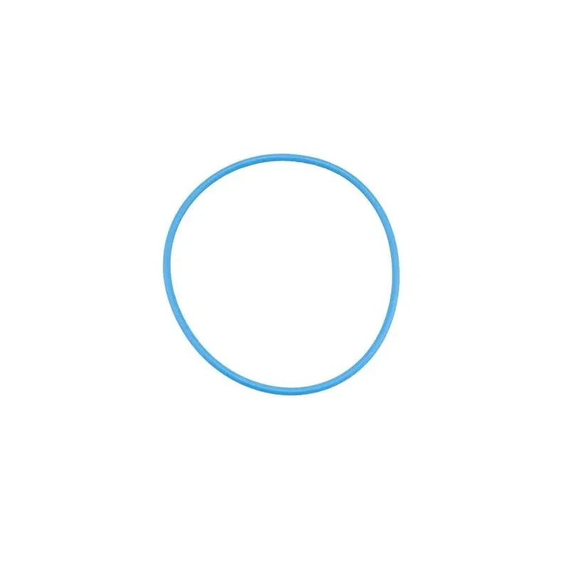 Pentair-270197Z-Fullfloxf-End-Cap-O-Ring