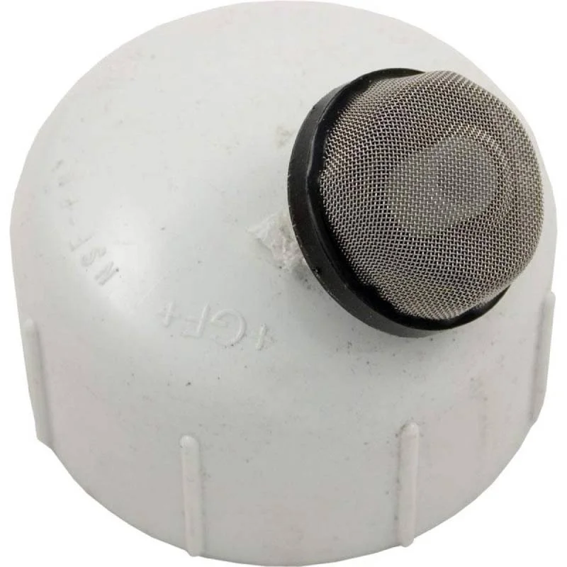 Pentair-274411-MYTILUS-Cap-And-Strainer-Assembly