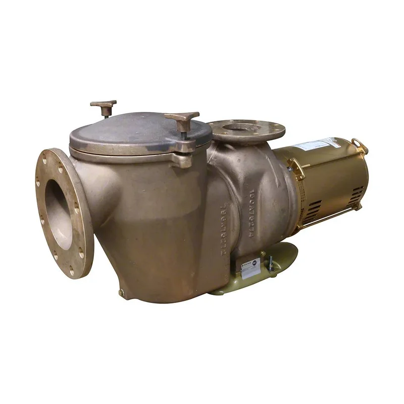 Pentair-347917-Commercial-Pump