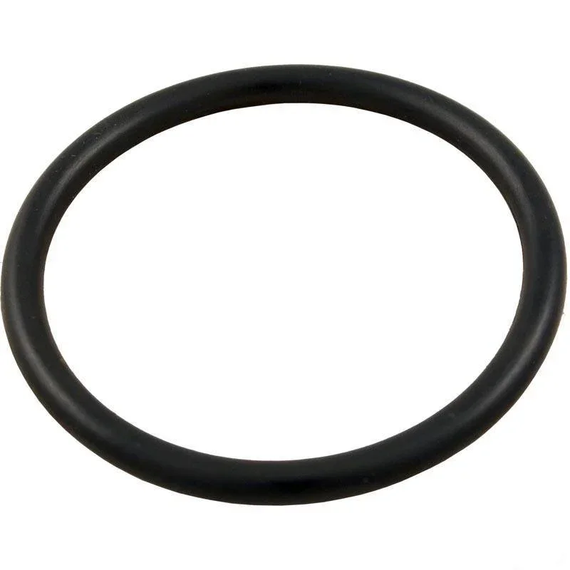 Pentair-35505-1424-System-3-Drain-Plug-O-Ring