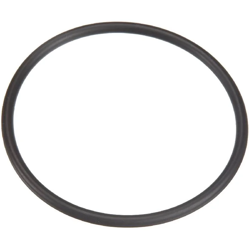 Pentair-35505-1425-System-3-Filter-Bulkhead-O-Ring
