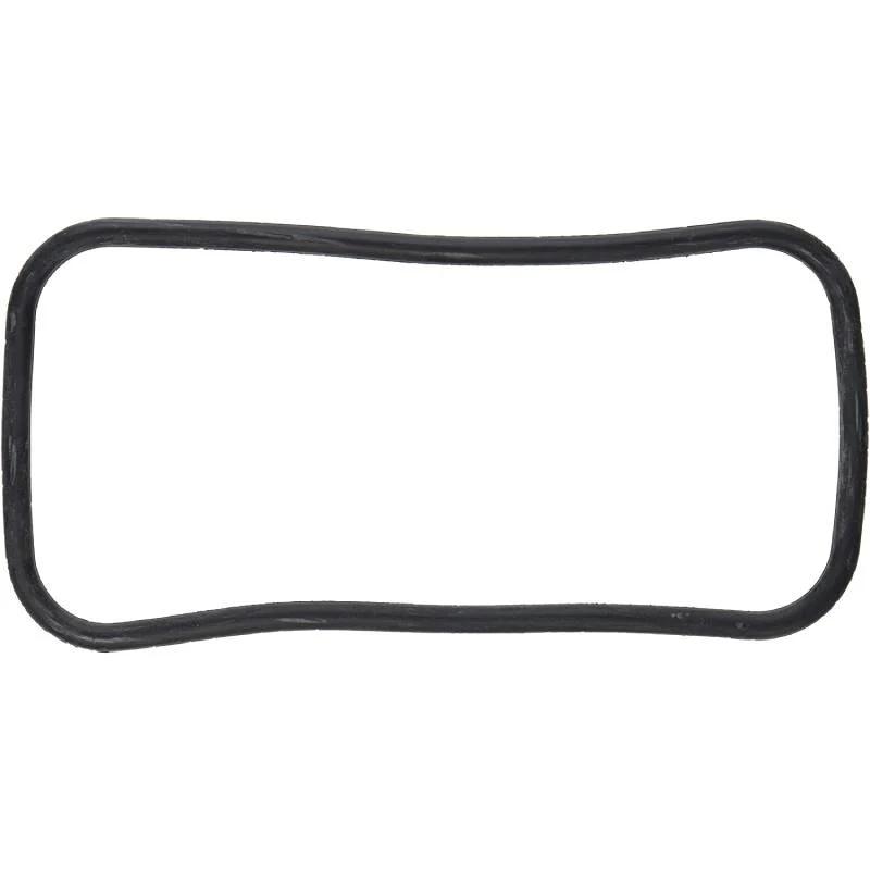 Pentair-35505-7432S-Heater-Manifold-O-Ring1