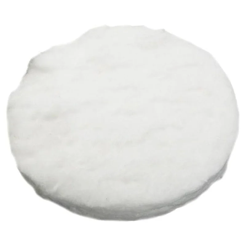 Pentair-42001-0075-Flame-Holder-Insulation-Cap