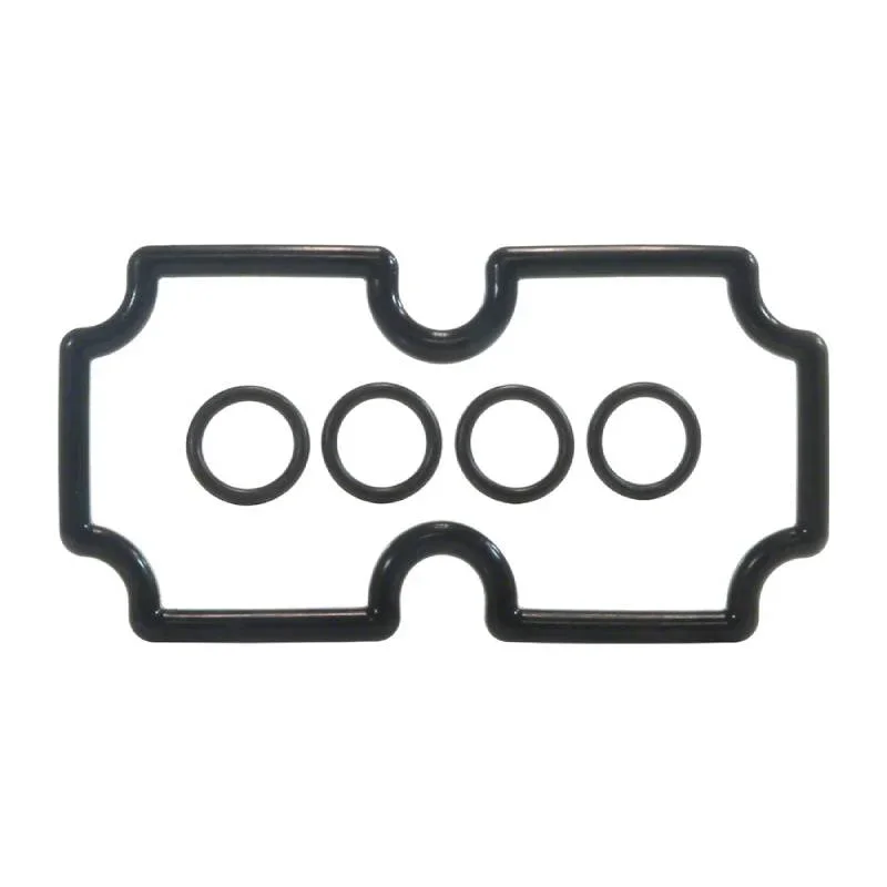Pentair-474973-125-CoilTube-Sheet-O-Ring-Kit1