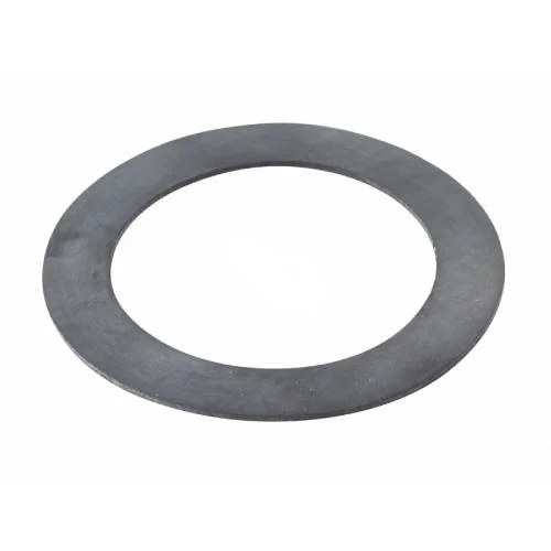 Pentair-552406-White-Vinyl-Wall-Fitting-Gasket3