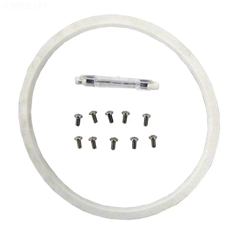 Pentair-600052-100W-12V-Halogen-Bulb-Kit