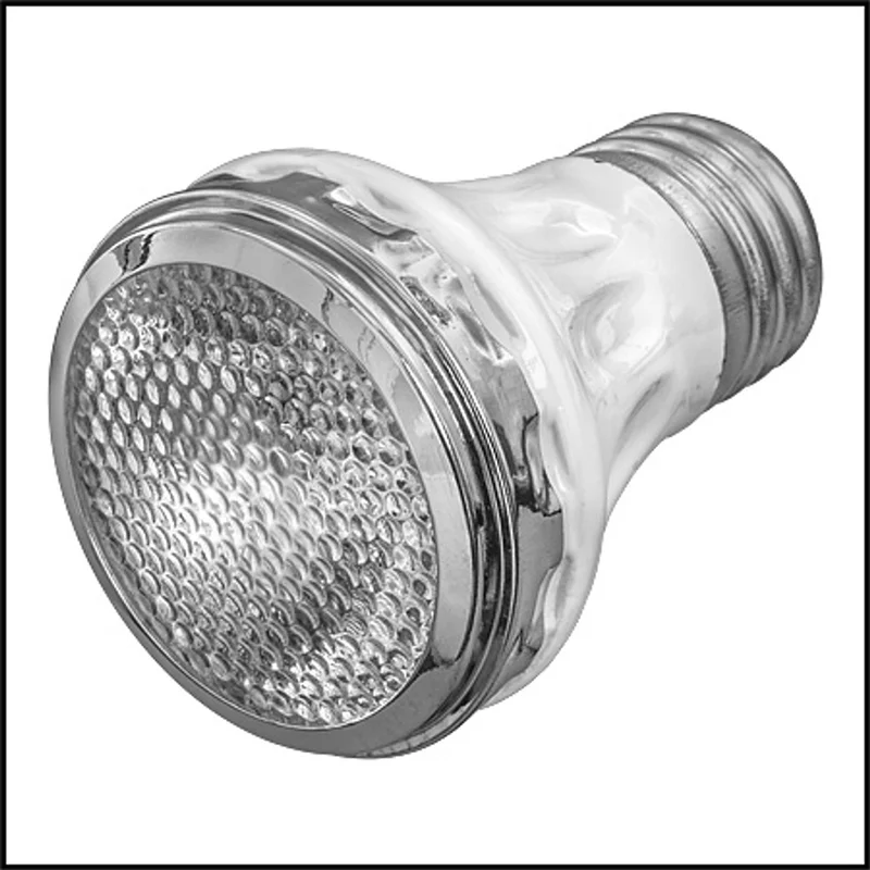 Pentair-650139Z-SunBrite-Replacement-Bulb-Kit-120v-60w