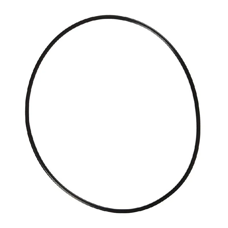 Pentair-754000350-Intellichem-Flow-Jar-O-Ring