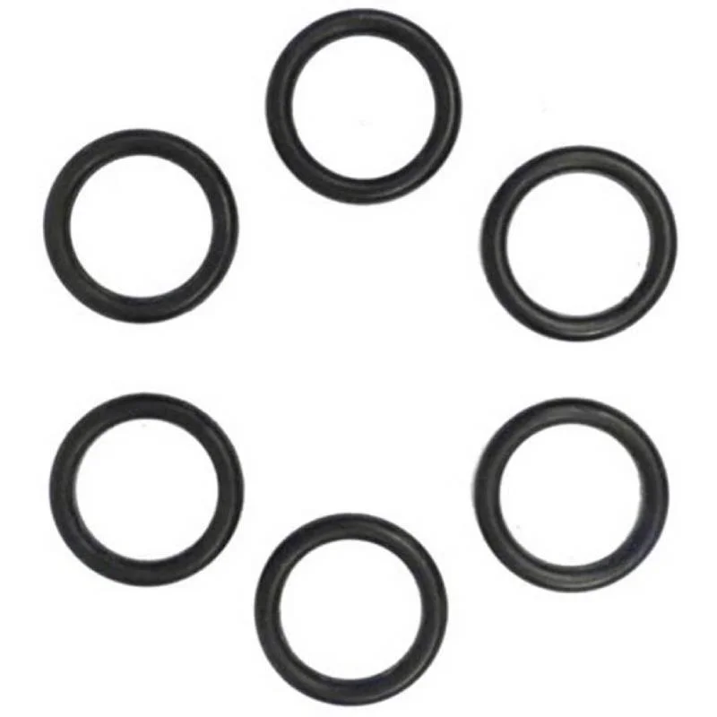 Pentair-77707-0117-6-Pack-of-175200K-CoilTube-Sheet-O-Ring