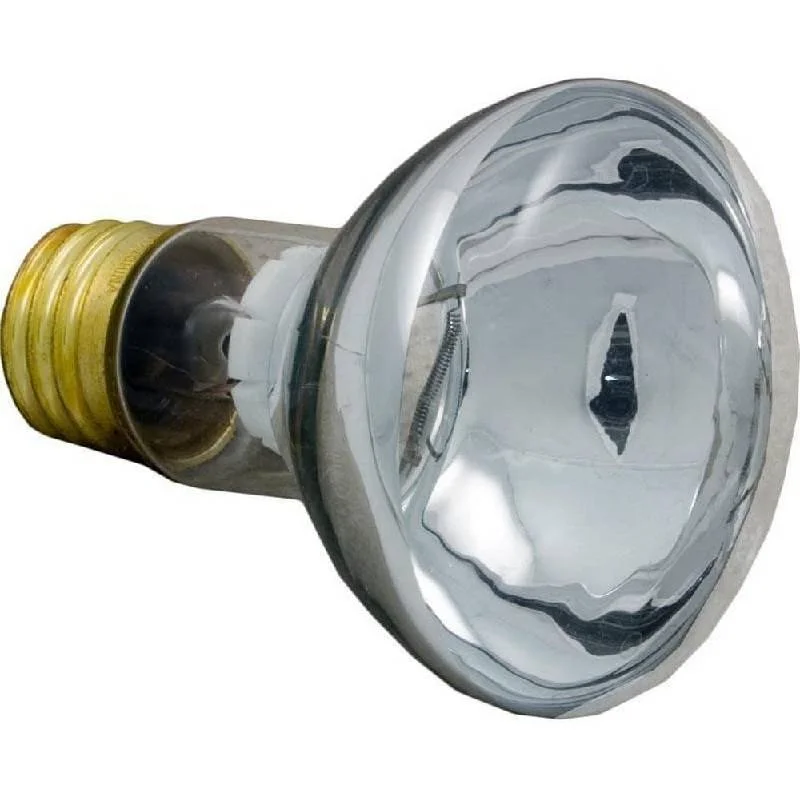 Pentair-79108100-100W-12V-R20-Medium-Flood-Lamp1